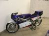 delneromoto.com - Restauro moto stradali,fuoristrada e competizione d'epoca